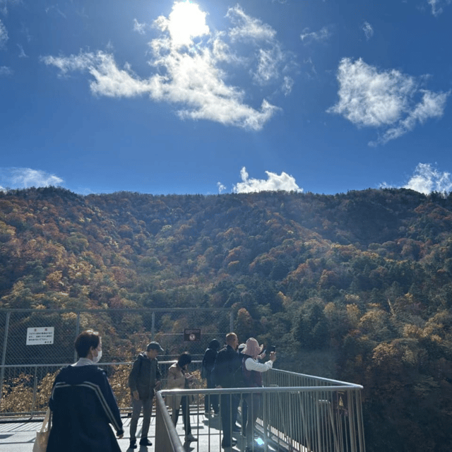 Tokyo: Nikko Unesco World Heritage Unmissable Private Tour - Kegon Falls, Nikko’s dramatic water stop