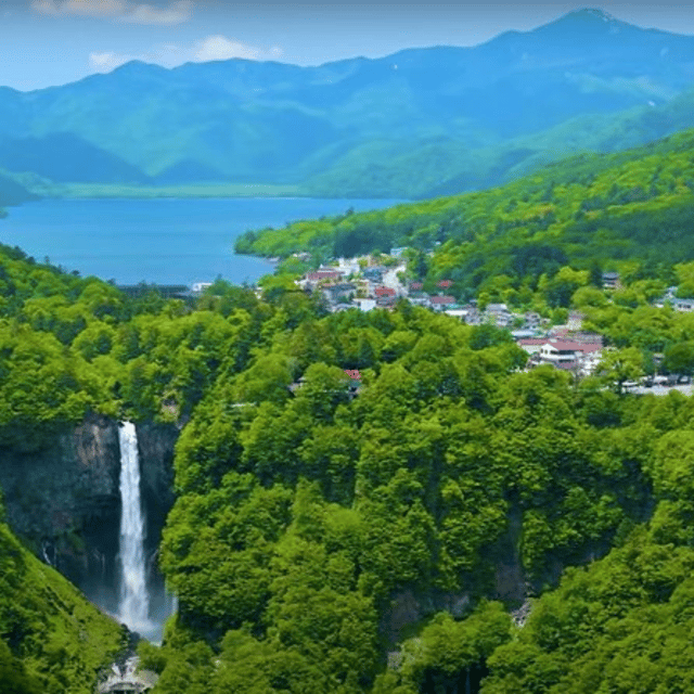 Tokyo: Nikko Unesco World Heritage Unmissable Private Tour - Toshogu Shrine and the Tokugawa story