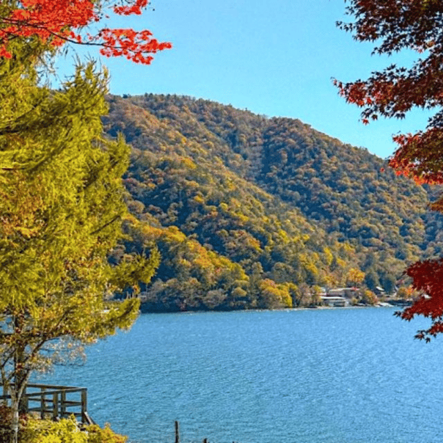 Tokyo: Nikko Unesco World Heritage Unmissable Private Tour - Nikko National Park and the Tochigi region