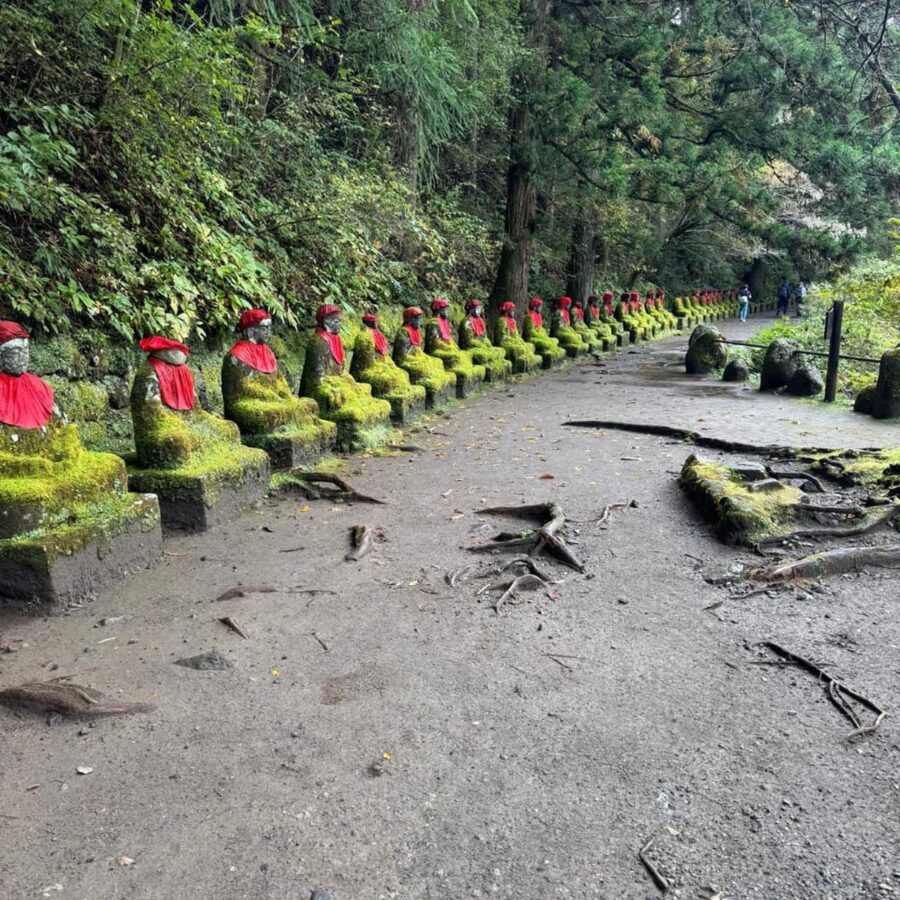 Tokyo: Nikko Unesco World Heritage Unmissable Private Tour - The optional Edo Wonderland choice