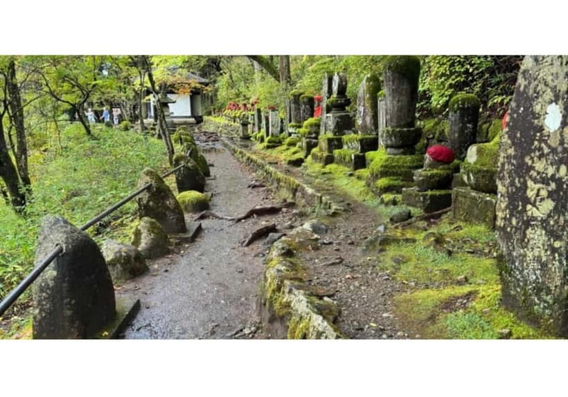 Tokyo: Nikko World Heritage Private Day Trip Hotel Pick-up - The drawbacks you should plan around