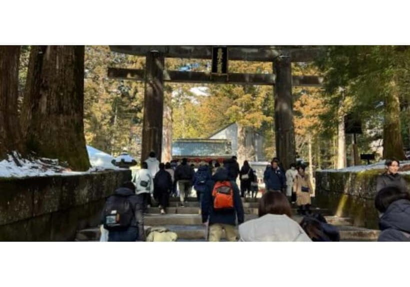 Tokyo: Nikko World Heritage Private Day Trip Hotel Pick-up - The ride from Tokyo and the value of a private car