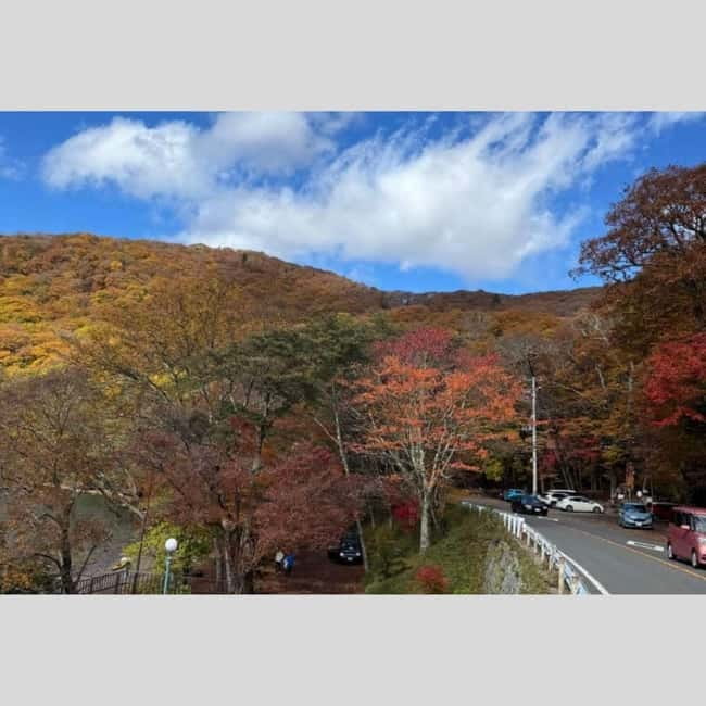 Tokyo: Nikko World Heritage Private Day Trip Hotel Pick-up - Toshogu Shrine: the cultural heart of the day