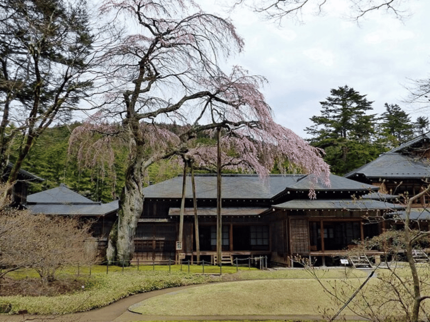 Tokyo: Nikko World Heritage Private Day Trip Hotel Pick-up - What the guides add to the day