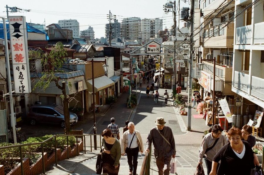 Tokyo: Off the Beaten Path Private Guided Tour - Nezu and Sendagi for quieter city streets