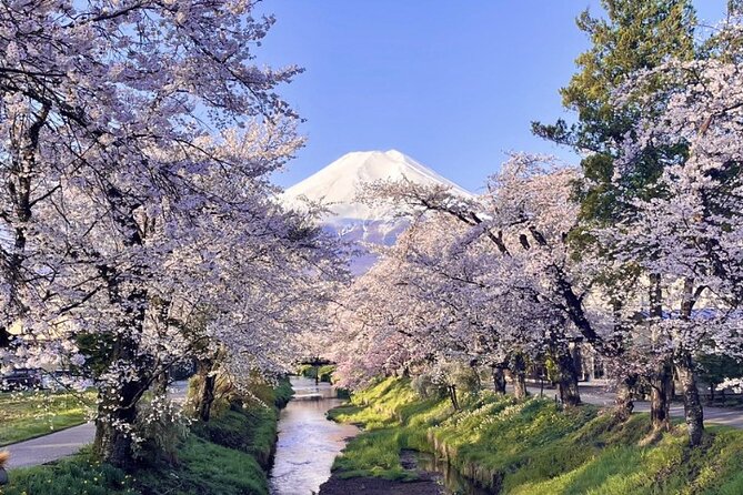 TOKYO OishiPark, Oshino & KoedoKawagoe, Fuji Mount - Oshino Hakkai and Mount Fuji snowmelt
