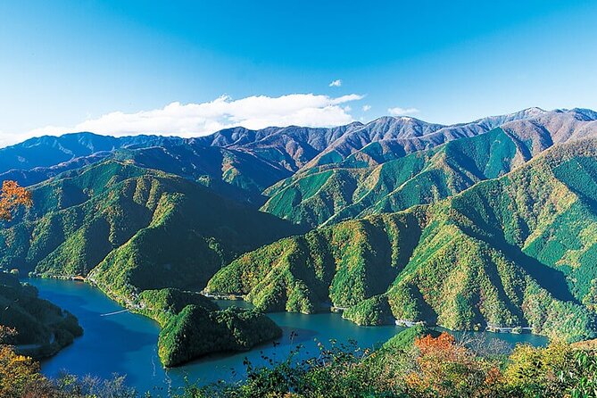 Tokyo Okutama Day Trip Tour - A small van and a guide who handles the route