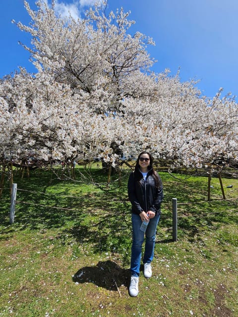 Tokyo: Personalized Half-day Tour - Who will get the most from this tour