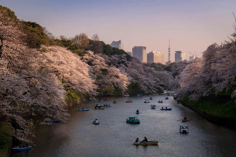 Tokyo: Photography Masterclass - Private Photo Lesson - Starting at Hachiko, Tokyo’s best photography classroom