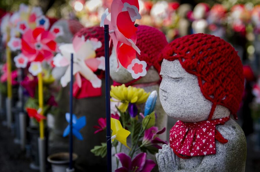 Tokyo: Photography Masterclass - Private Photo Lesson - Learning to read Hachiko Crossing