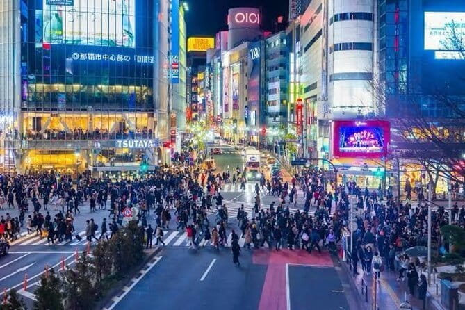 Tokyo Private Chauffeur Tour - Fully Guided - What the guides add to the day