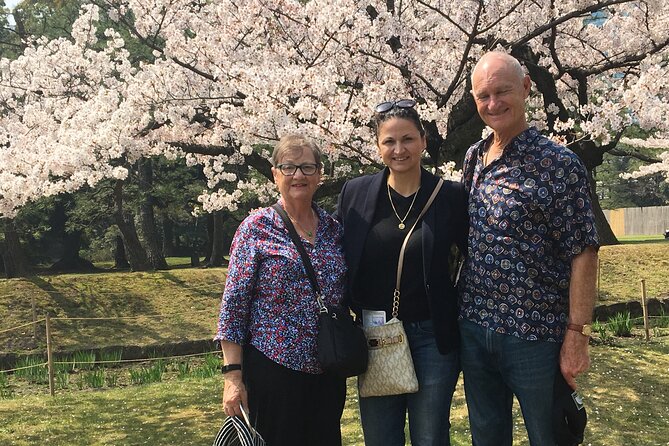 Tokyo Private Cherry Blossom Tour with a Local – Picnic Included - Why a private hanami tour can be worth considering