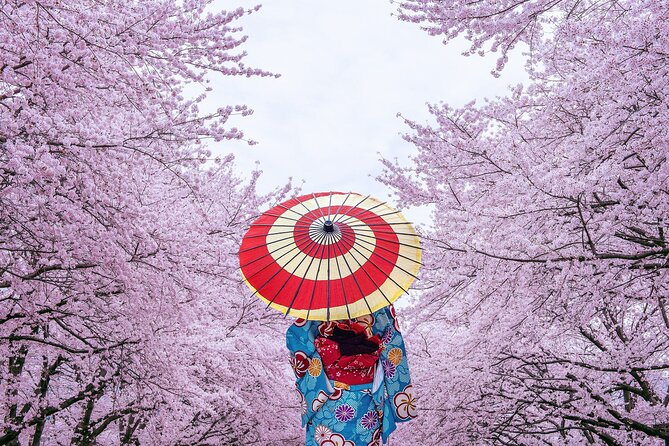 Tokyo Private Cherry Blossom Tour with a Local – Picnic Included - Senso-ji, where temple history meets spring flowers