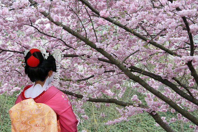 Tokyo Private Cherry Blossom Tour with a Local – Picnic Included - Sumida Park and the Tokyo Skytree backdrop