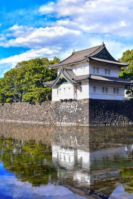 Tokyo: Private City Highlights Tour with Local Guide - Tsukiji for Food and Local Color