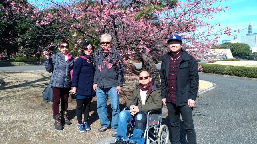 Tokyo: Private City Highlights Tour with Local Guide - Shibuya, Shinjuku, and Akihabara