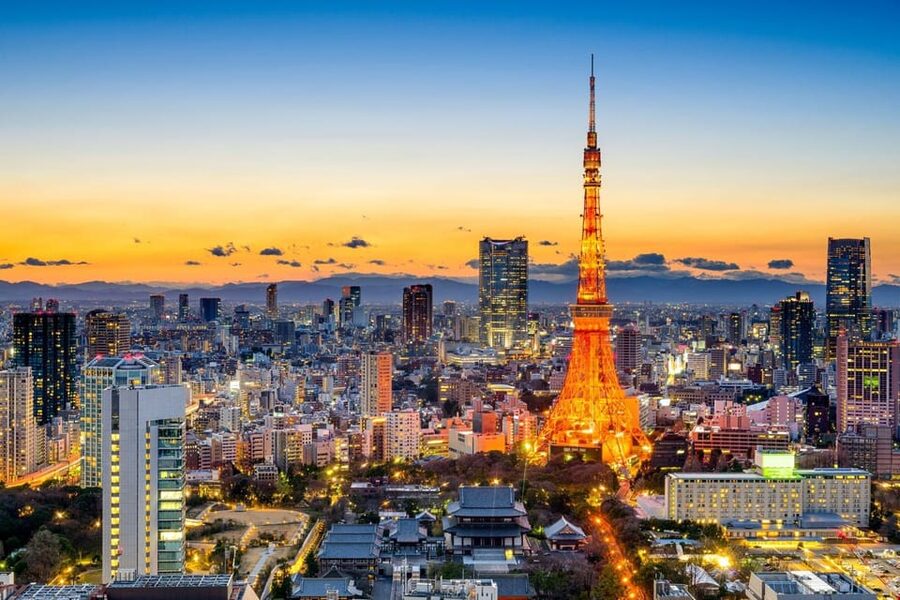 Tokyo: Private Customizable City Tour with Chauffeur - Why a private van makes sense in Tokyo