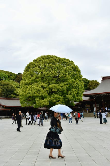 Tokyo: Private Customizable City Tour with Chauffeur - The Imperial Palace: a short look at Tokyo’s center