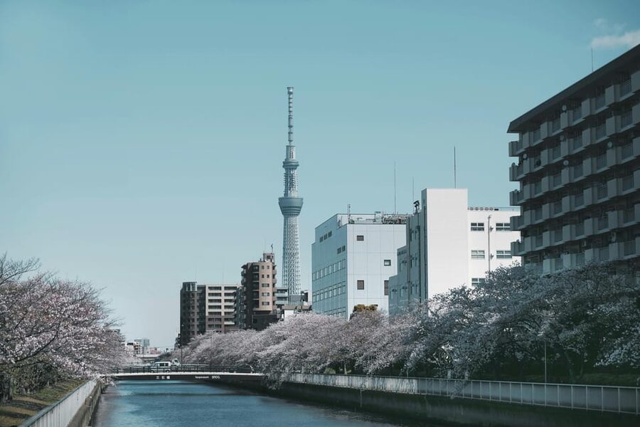 Tokyo: Private Customizable City Tour with Chauffeur - Tsukiji Outer Market: start with Tokyo’s food culture