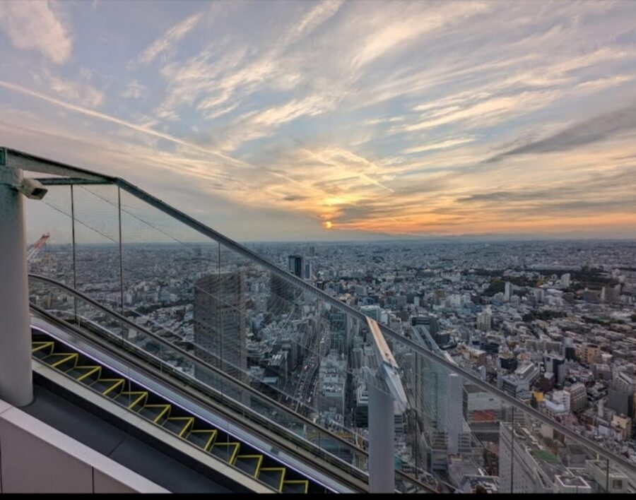 Tokyo: Private Customizable Day Tour with Chauffeur - Shibuya City brings the city’s energy back