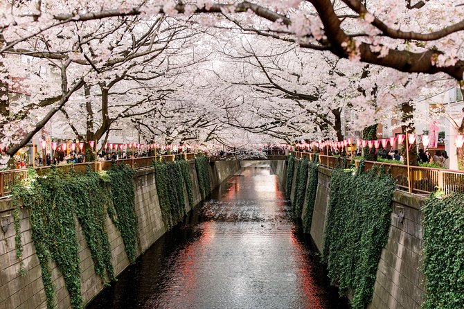 Tokyo Private Customizable Full Day Tour - Why four or five stops is the right limit