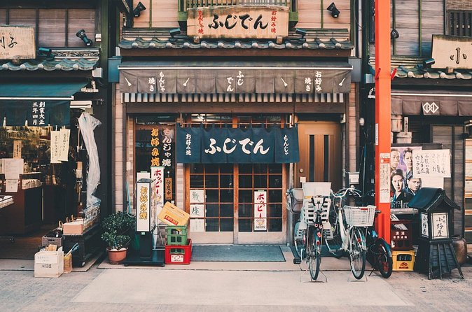 Tokyo Private Customizable Full Day Tour - Ueno Park and old Tokyo in Yanaka