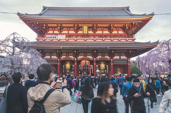 Tokyo Private Customizable Half Day Tour - Shibuya, Meiji Shrine, and Shinjuku