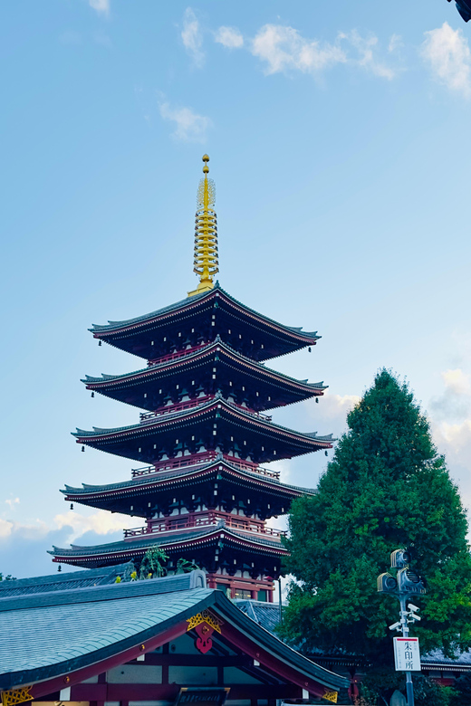 Tokyo: Private & Customizable Tour W/English Speaking Guide - Imperial Palace East Gardens offer a quieter pause