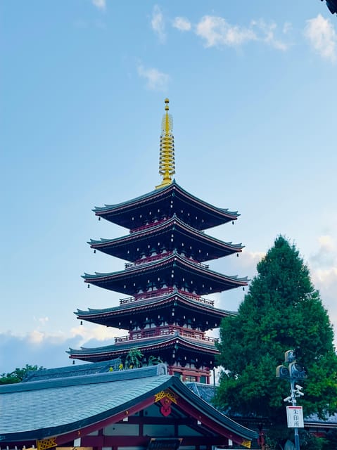 Tokyo: Private & Customizable Tour W/English Speaking Guide - Meiji Shrine and Takeshita Street show two sides of Harajuku