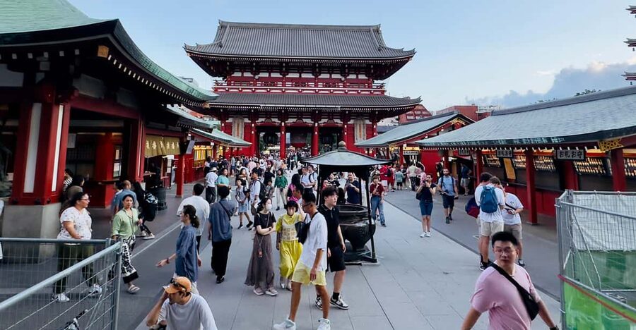 Tokyo: Private & Customizable Tour W/English Speaking Guide - Why the private car matters in Tokyo