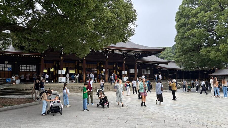 Tokyo: Private Customizable Tour with a Local Guide - Key points at a glance