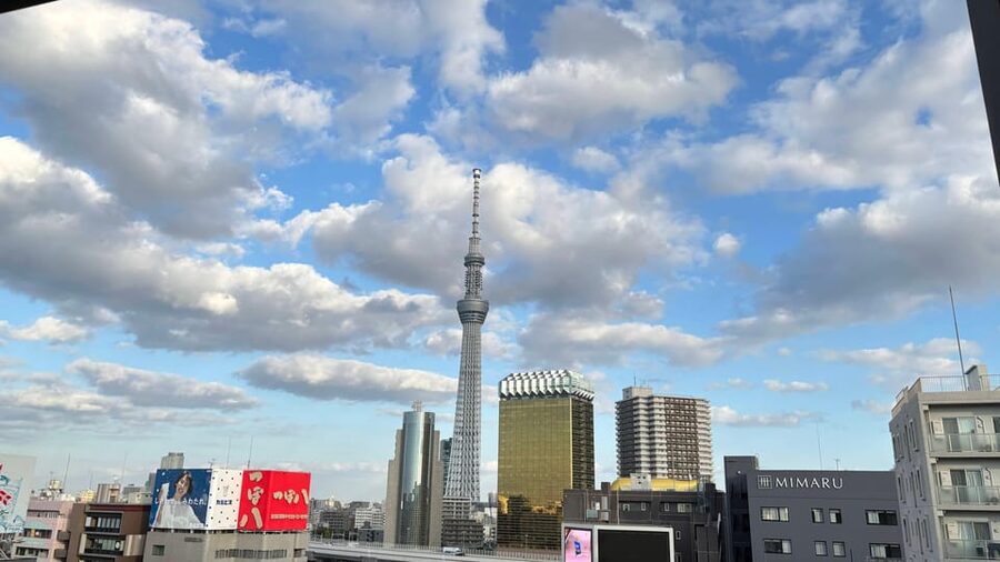 Tokyo: Private Customizable Tour with a Local Guide - Senso-ji and Asakusa: Tokyo’s old center