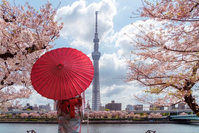 Tokyo Private Customizable Tour with English Speaking Chauffeur - A practical way to see Tokyo in one day