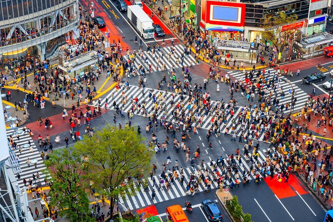 Tokyo Private Customizable Tour with English Speaking Chauffeur - Tokyo Skytree: a huge view with an extra-ticket decision