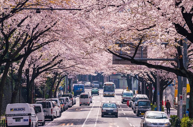 Tokyo Private Customizable Tour with English Speaking Chauffeur - Tsukiji Outer Market: make lunch part of the tour