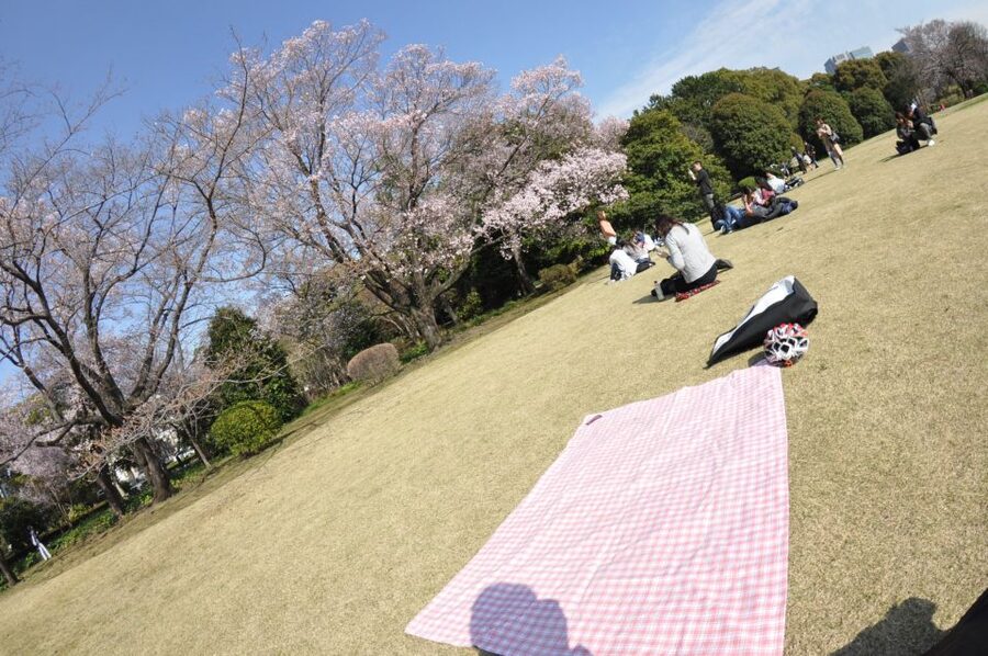 Tokyo: Private Cycling Tour with cute E-bike - Who will enjoy this ride most
