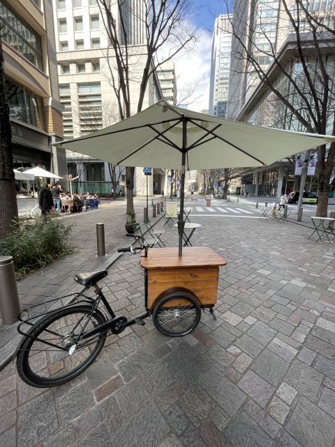 Tokyo: Private Cycling Tour with cute E-bike - Rain, flat tires, and how the guide handles trouble