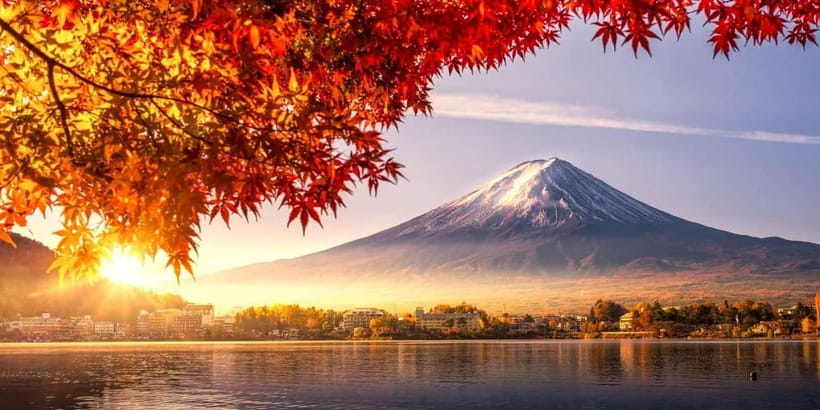 Tokyo: Private Day Tour to Mount Fuji with English Driver - The Real Value of $434