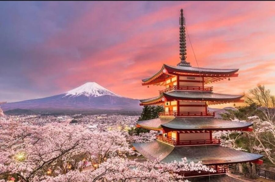 Tokyo: Private Day Trip to Mount Fuji and Hakone - Gotemba Premium Outlets and optional flexibility