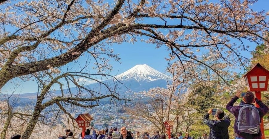 Tokyo: Private Day Trip to Mount Fuji and Hakone - A big Fuji day from Tokyo