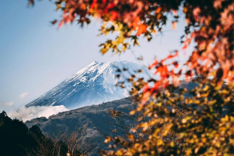 Tokyo: Private Day Trip to Mount Fuji and Hakone - Kitaguchi-hongu Fuji Sengen Shrine