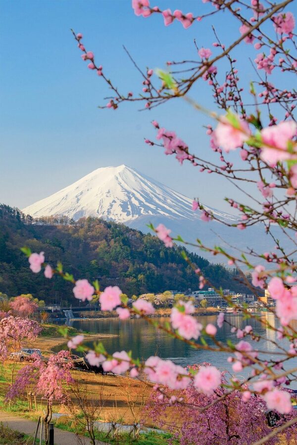 Tokyo: Private Day Trip to Mount Fuji and Hakone - Oshino Hakkai and the old village feel