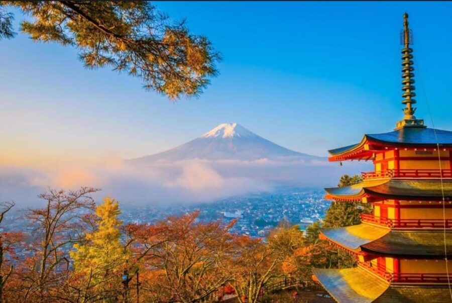 Tokyo: Private Day Trip to Mount Fuji and Hakone - Lake Kawaguchi and Oishi Park