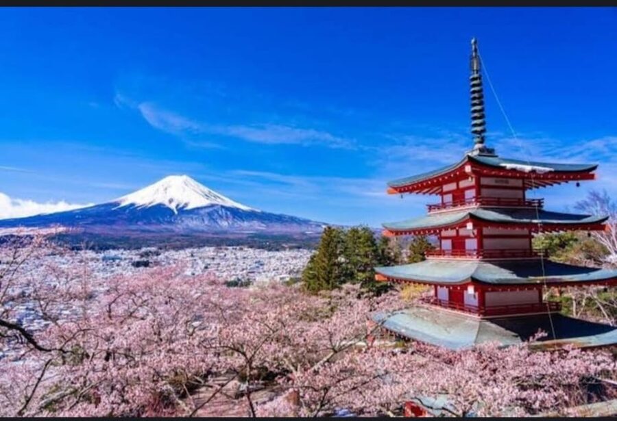 Tokyo: Private Day Trip to Mount Fuji and Hakone - Mount Fuji 5th Station