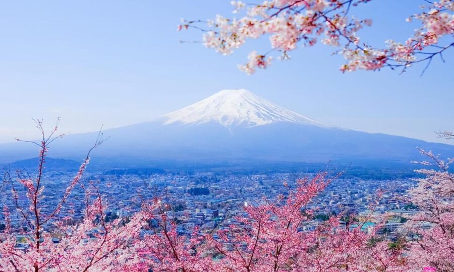 Tokyo: Private Day Trip to Mount Fuji and Hakone - Adding Hakone to the same day
