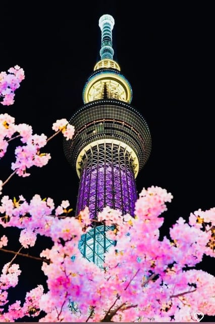 Tokyo Private Day Trip With English Speaking Driver - Tokyo Skytree is the main lunch and view break