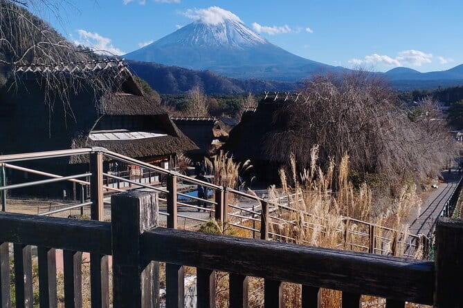 Tokyo private Driving Tour by car/van English speaking chauffeur - Meiji Jingu and the Forested Walk