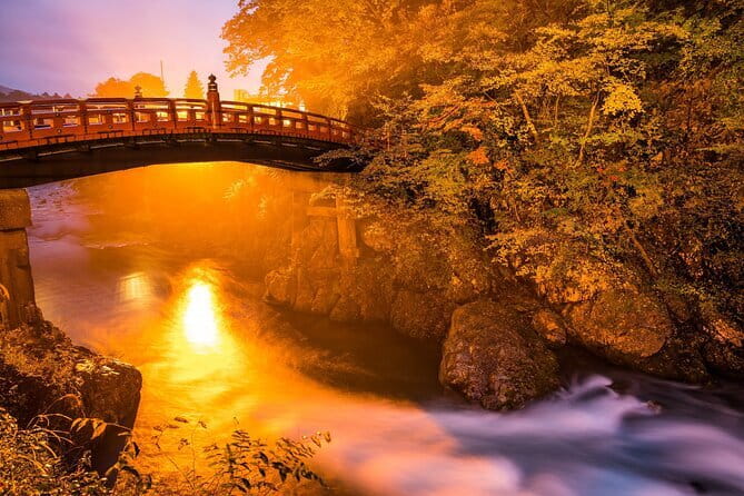 Tokyo private Driving Tour by car/van English speaking chauffeur - Shibuya Crossing After Dark or Before Dinner