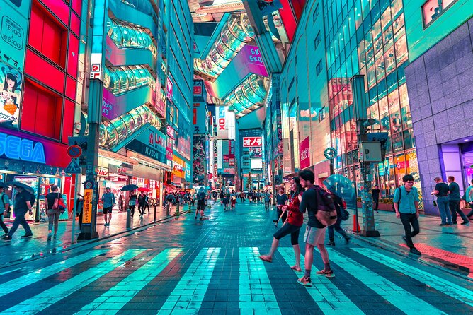 Tokyo Private Driving Tour by Car/Van with English Chauffeur - The Imperial Palace and Tokyo’s central districts