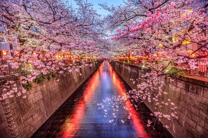Tokyo Private Driving Tour by Car/Van with English Chauffeur - Meiji Jingu, a quiet break in the city